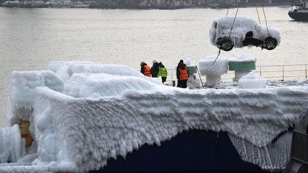 Разгрузка легковых автомобилей, покрытых толстым слоем льда, с сухогруза Sun Rio в порту Владивостока