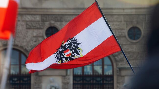 В избирательные бюллетени в Австрии войдут девять партий