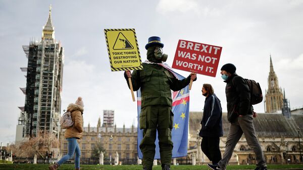 Участник движения против Брексита на Парламентской площади в Лондоне, Великобритания