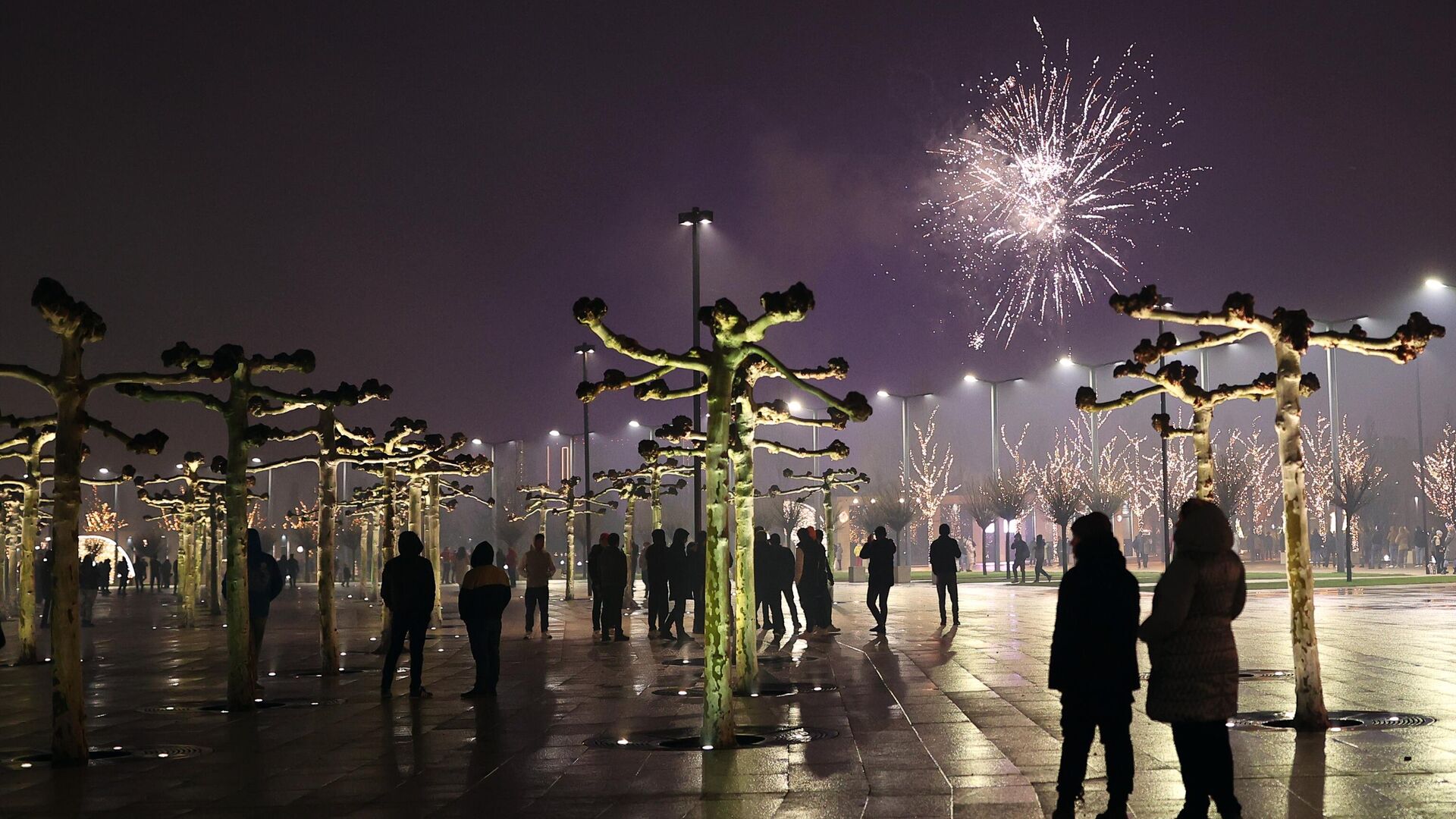 Люди смотрят праздничный салют на территории архитектурно-ландшафтного парка Краснодар во время празднования Нового 2022 года в Краснодаре - РИА Новости, 1920, 02.11.2022