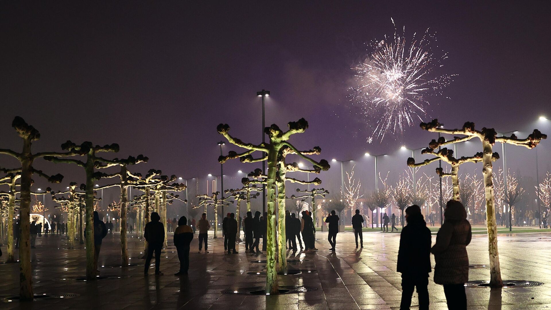 Люди смотрят праздничный салют на территории архитектурно-ландшафтного парка Краснодар во время празднования Нового 2022 года в Краснодаре - РИА Новости, 1920, 02.11.2022