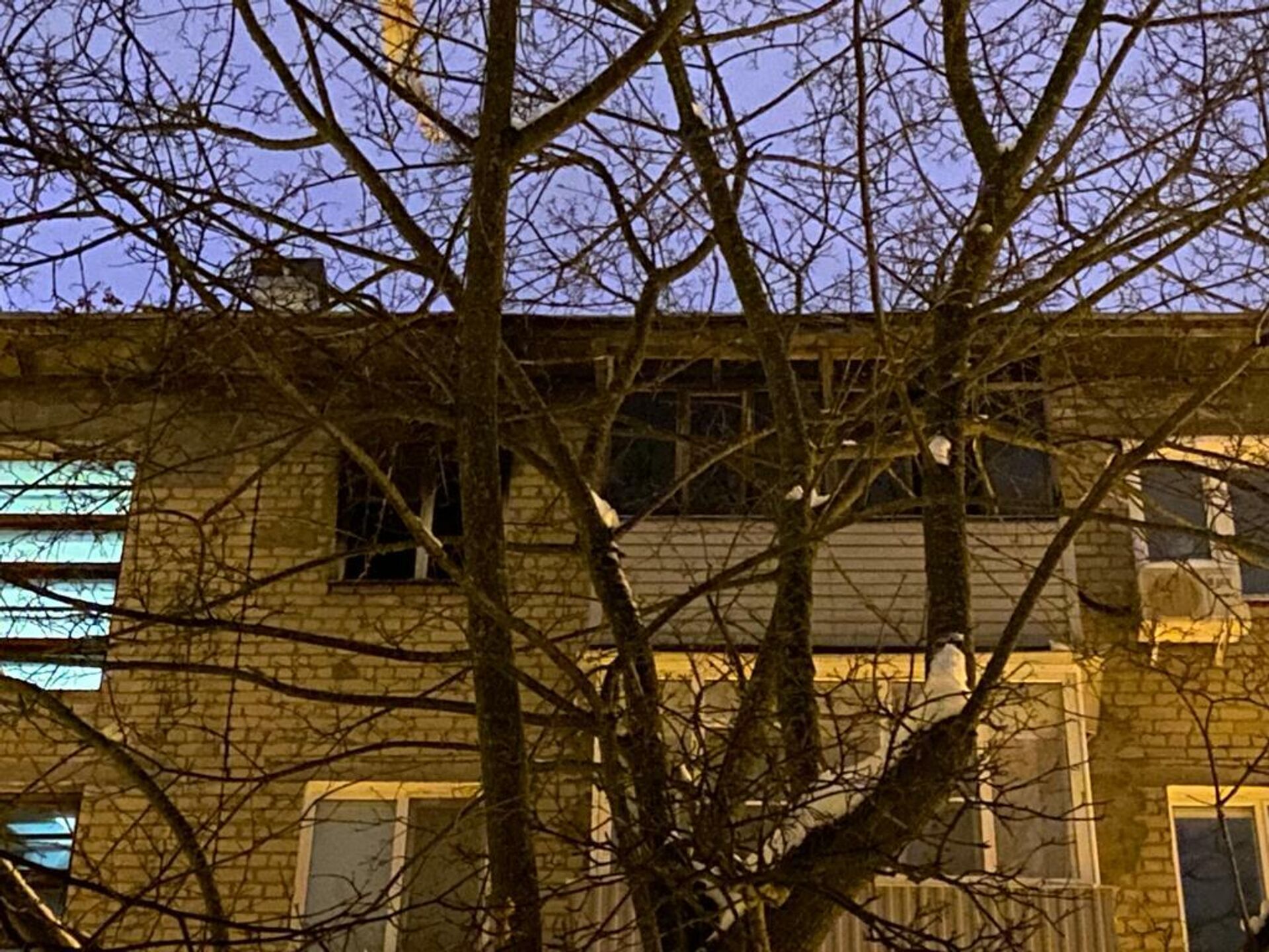 Последствия возгорания в результате газового хлопка на пятом этаже дома по улице Мира в городе Пензе - РИА Новости, 1920, 11.04.2022