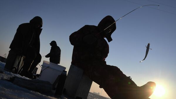 Рыбаки во время зимней рыбалки