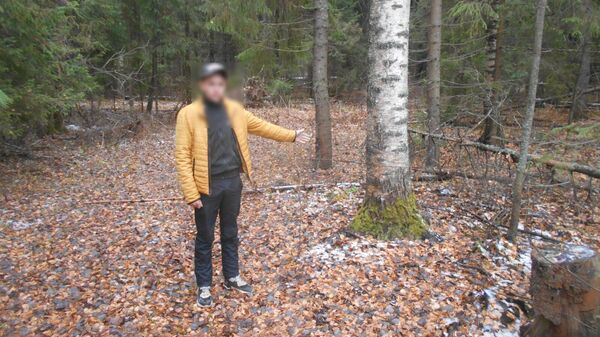 Лесной массив, где привязали к дереву похищенного человека в Нолинском Кировской области