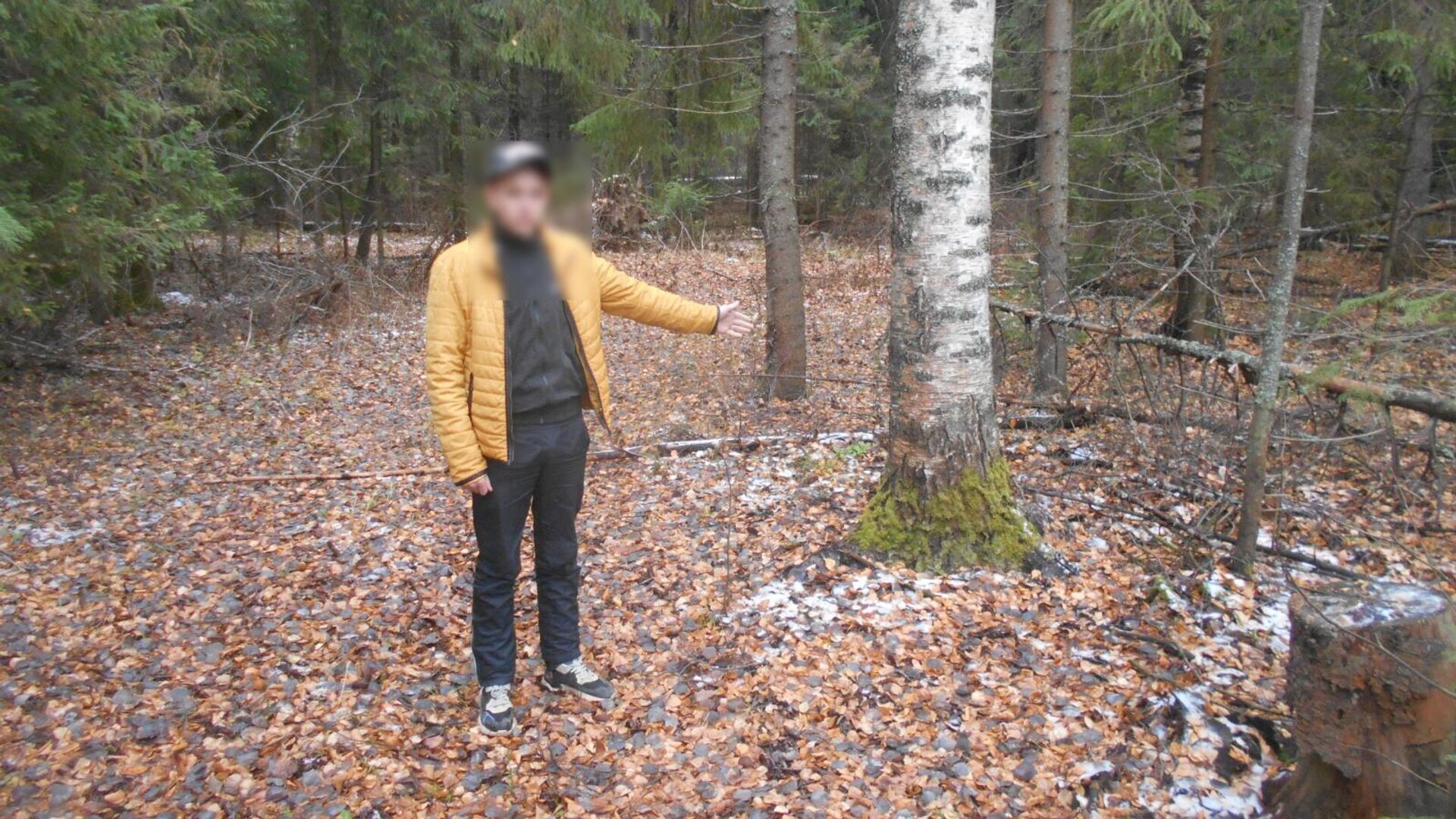 Лесной массив, где привязали к дереву похищенного человека в Нолинском Кировской области - РИА Новости, 1920, 12.01.2022
