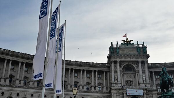 Баннеры с символикой ОБСЕ в Вене