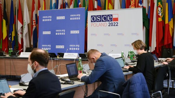 Журналисты в пресс-центре перед началом заседания ОБСЕ в Вене