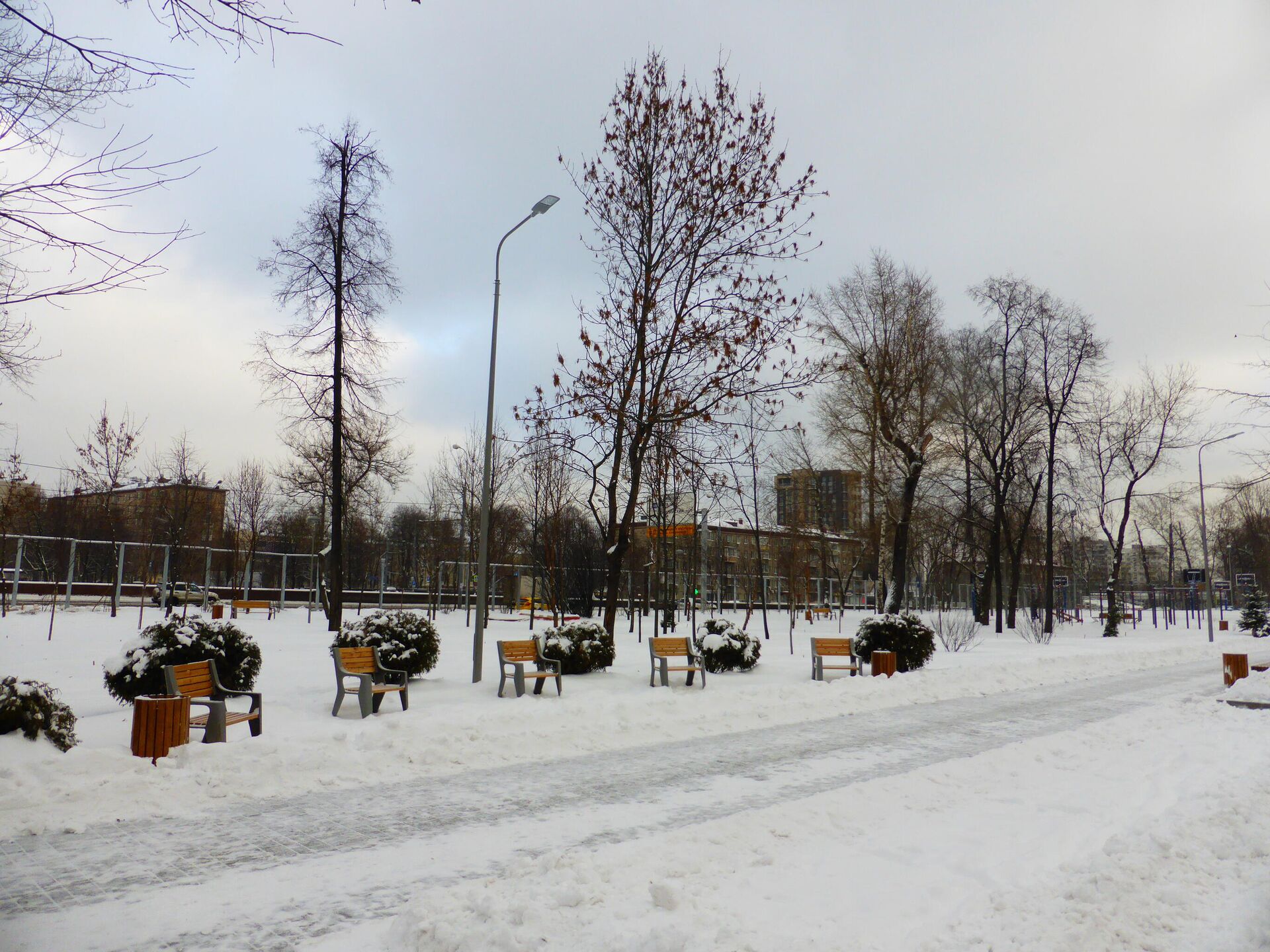 Мы увидели страшное