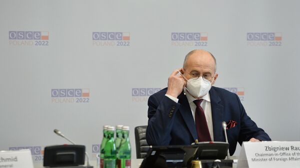 Председатель ОБСЕ, министр иностранных дел Польши Збигнев Рау