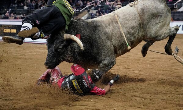 Наездник Силвано Алвес падает с быка во время родео в Нью-Йорке 