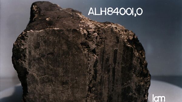 Метеорит Allan Hills 84001