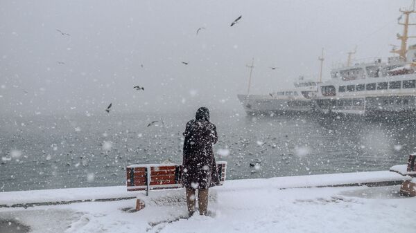Чайки кружат во время снегопада в Стамбуле, Турция 