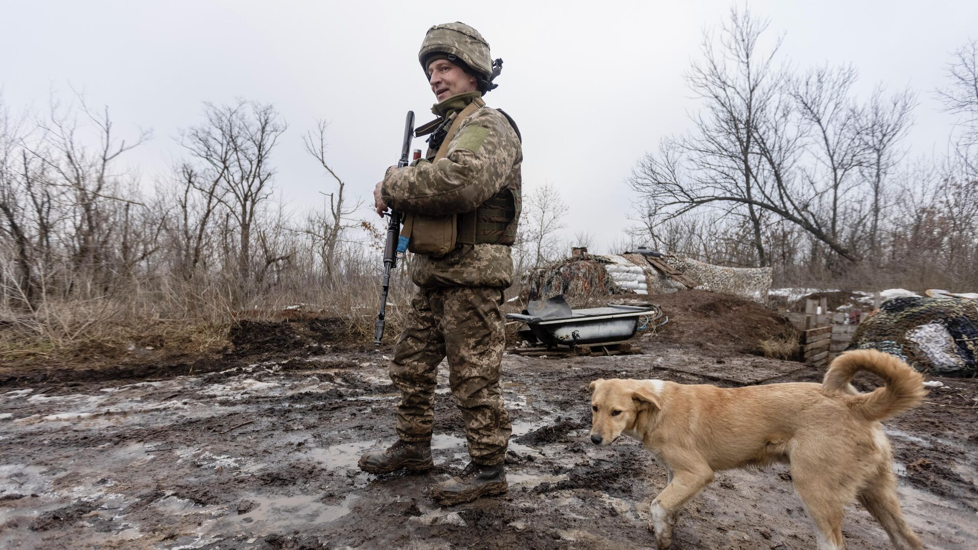 Украинский солдат на линии разграничения с Донецкой областью - РИА Новости, 1920, 17.01.2022