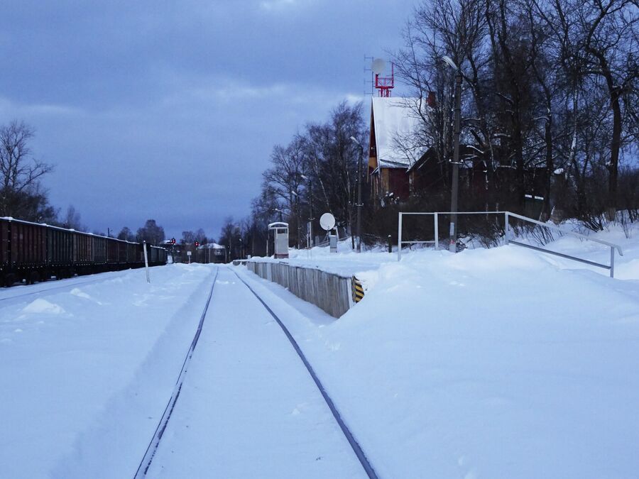 Зимнее утро на станции Кувшиново