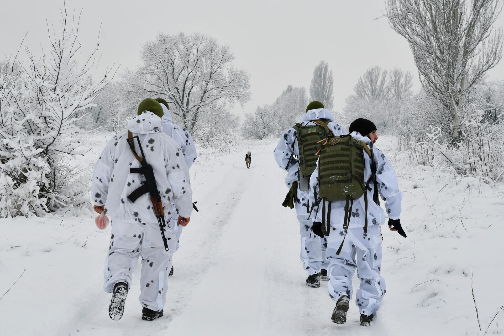 Ukrainian army on the line of contact in the Donetsk region Ukrainian army on the line of contact in the Donetsk region - RIA Novosti, 1920, 06.10.2022