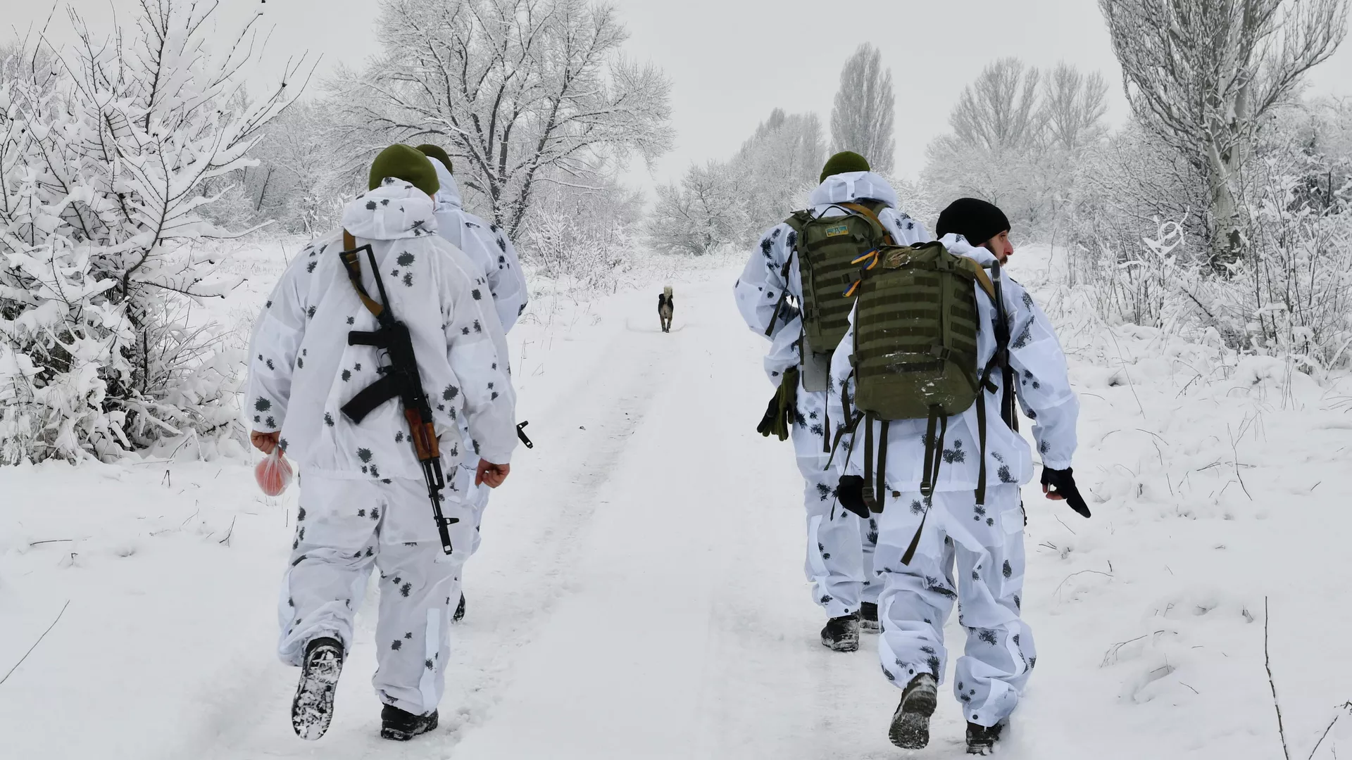 Украинские военные на линии соприкосновения в Донецкой области - РИА Новости, 1920, 15.02.2022