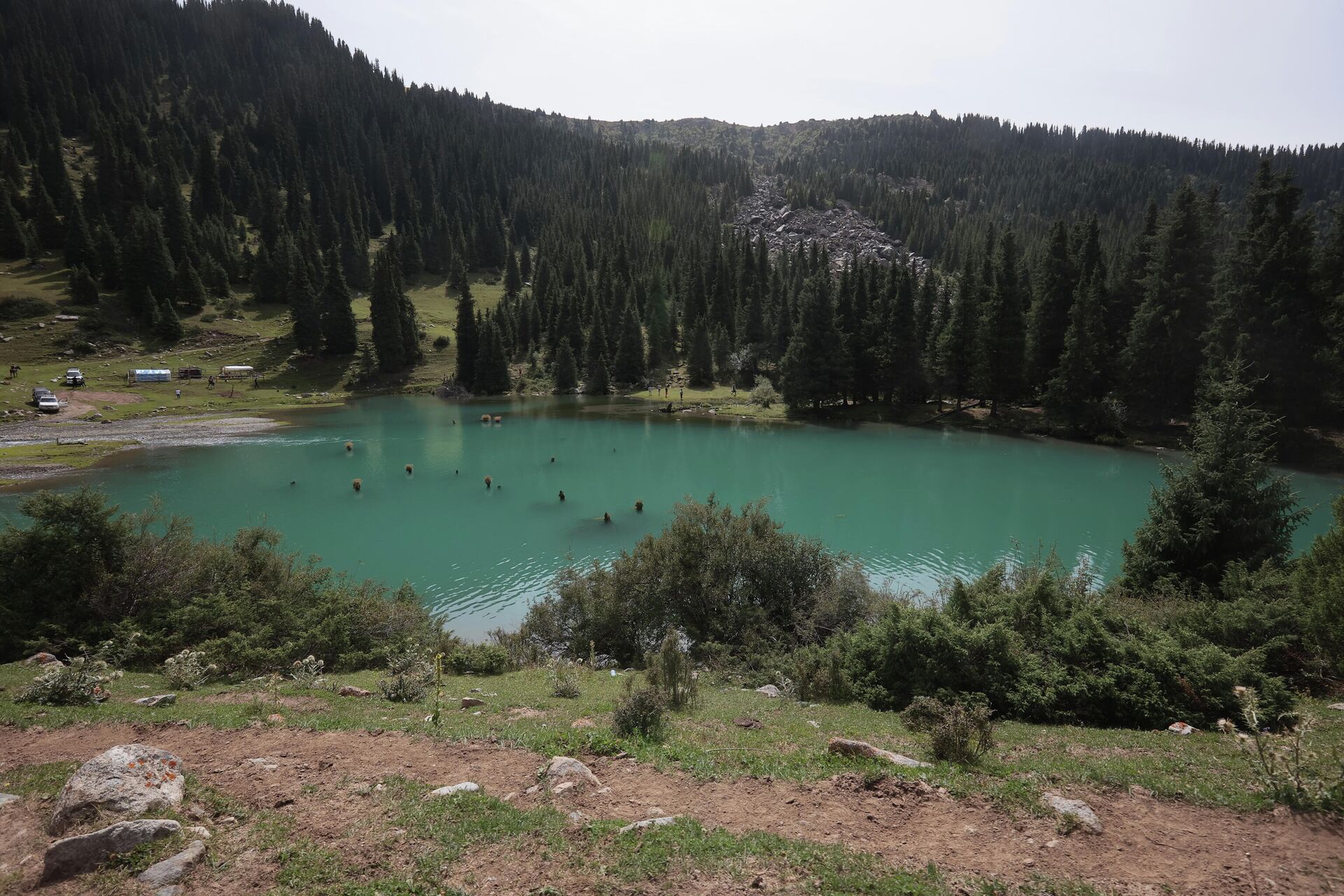 Озеро Сютуу-Булак (Молочный источник) в Семеновском ущелье в горах Кунгей Ала-Тоо в Киргизии - РИА Новости, 1920, 20.01.2022