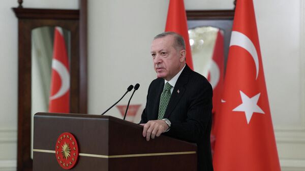 Президент Турции Реджеп Тайип Эрдоган выступает во время встречи с послами ЕС в Анкаре