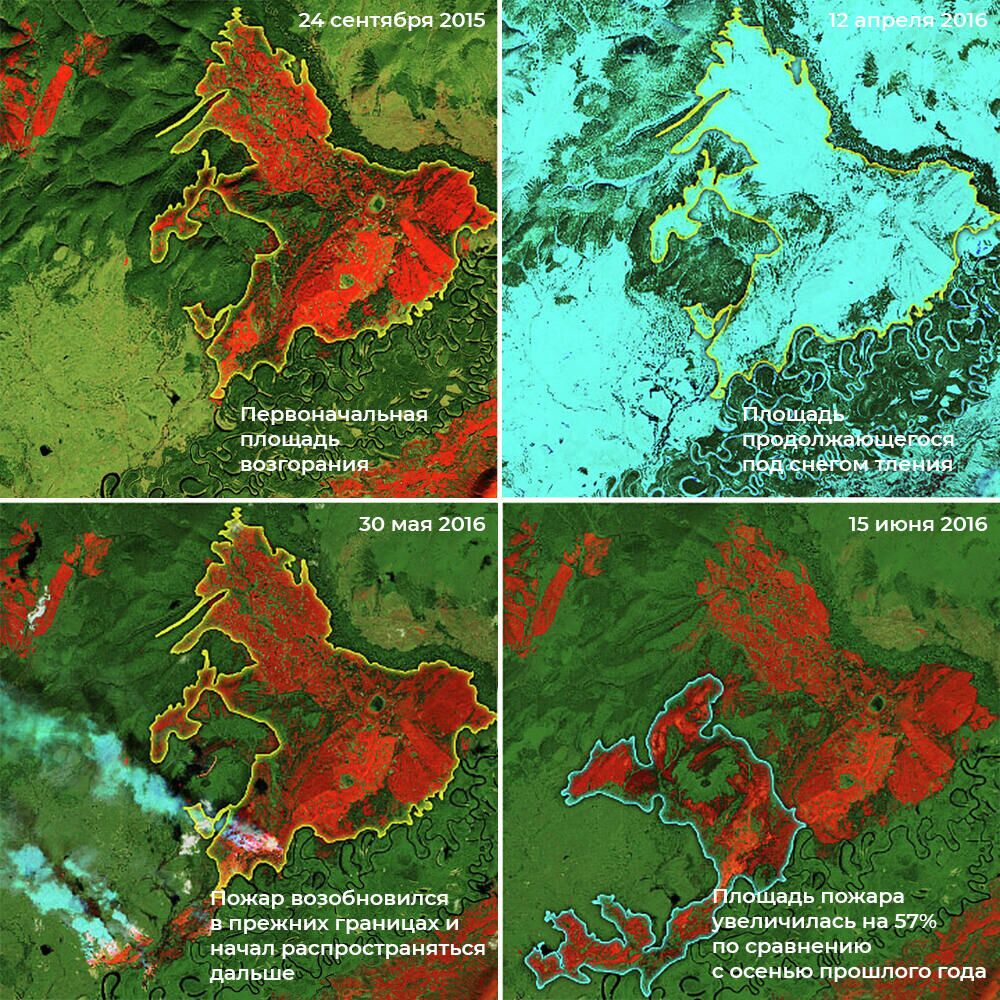 Пожар, возникший осенью 2015-го пережил зиму, а с приходом весны возобновился в прежних границах и начал распространяться дальше - РИА Новости, 1920, 24.01.2022