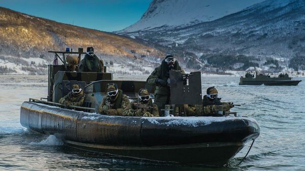 Хоть Cold на голове теши. НАТО затеяла в Арктике масштабные военные учения