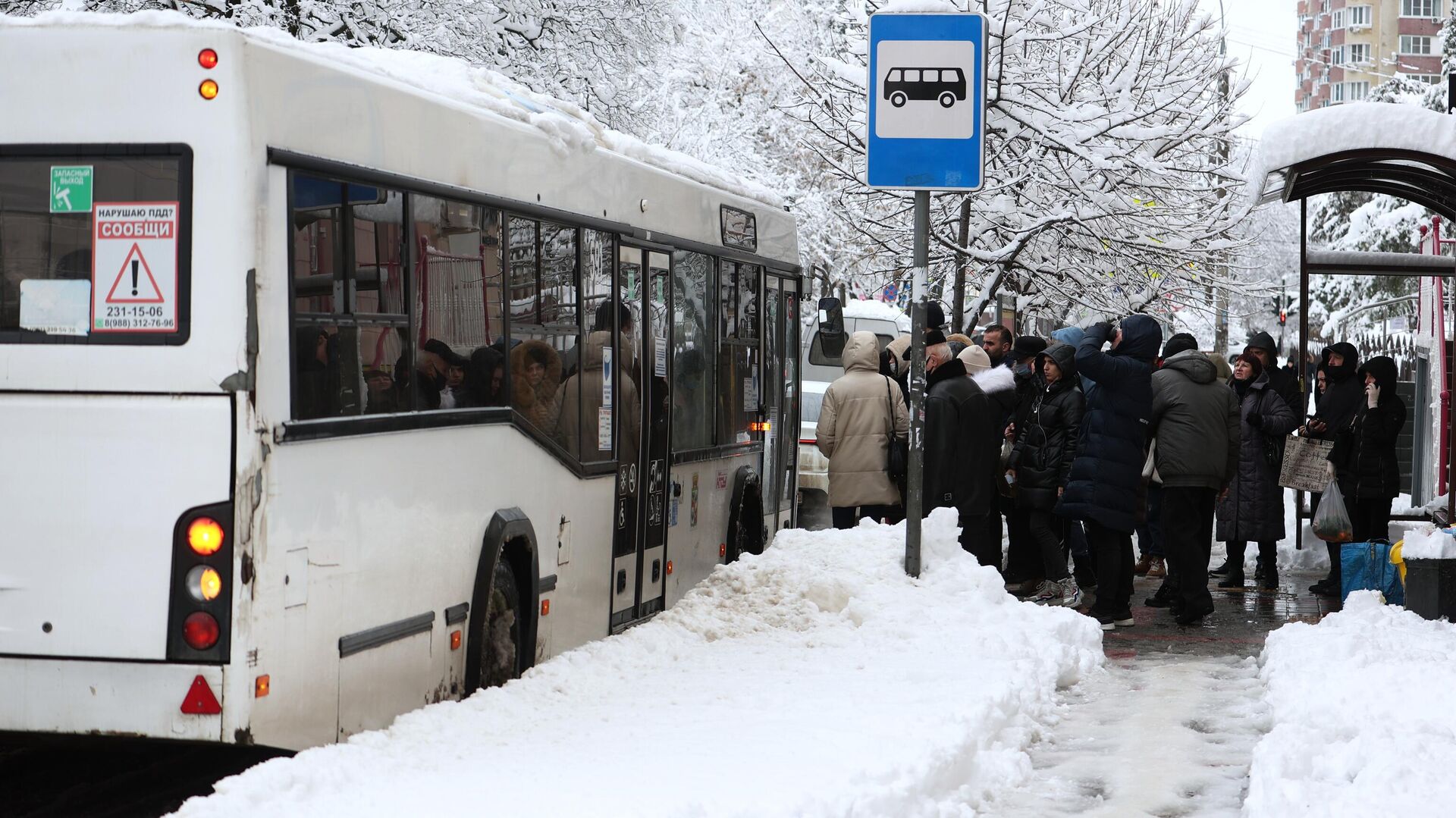 Пассажиры на автобусной остановке в Краснодаре - РИА Новости, 1920, 15.02.2023