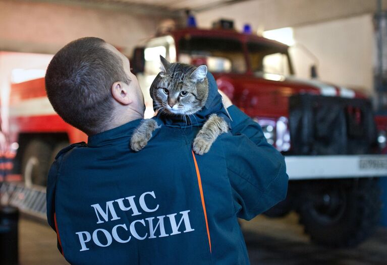 Начальник караула 135 ПСЧ Виталий Домрачев с котом Семеном в гараже пожарно-спасательной части Главного управления МЧС России по Тюменской области в поселке Боровский