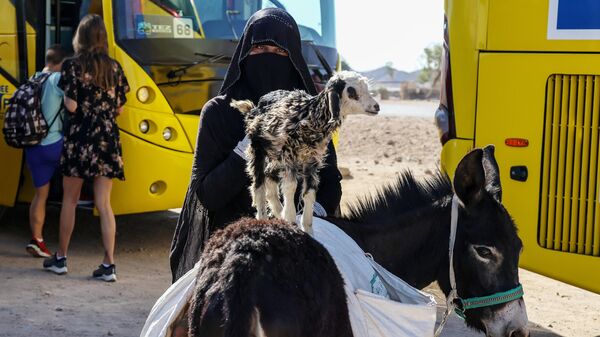 Девушкв-бедуин у остановки на дороге из Хургады в Луксор