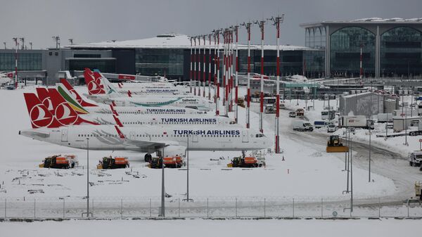 Самолеты в аэропорту Стамбула во время приостановки рейсов из-за снегопадов. 25 января 2022
