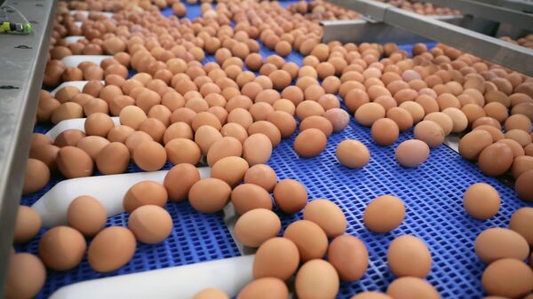 В Венгрии дорожают яйца из-за роста цен на энергию и корма