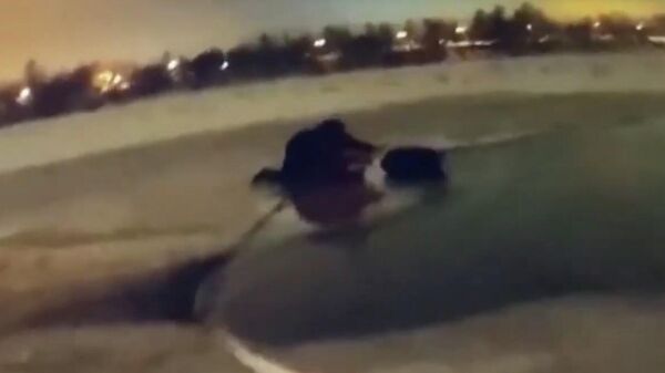 Полицейский спас ребенка на реке в Петербурге. Видео МВД России