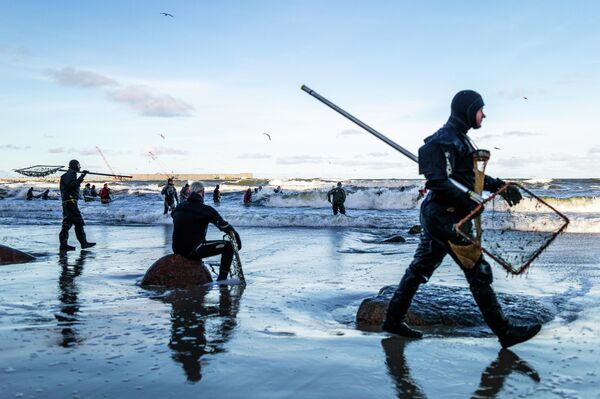 Ловцы янтаря в акватории Балтийского моря в Калининградской области