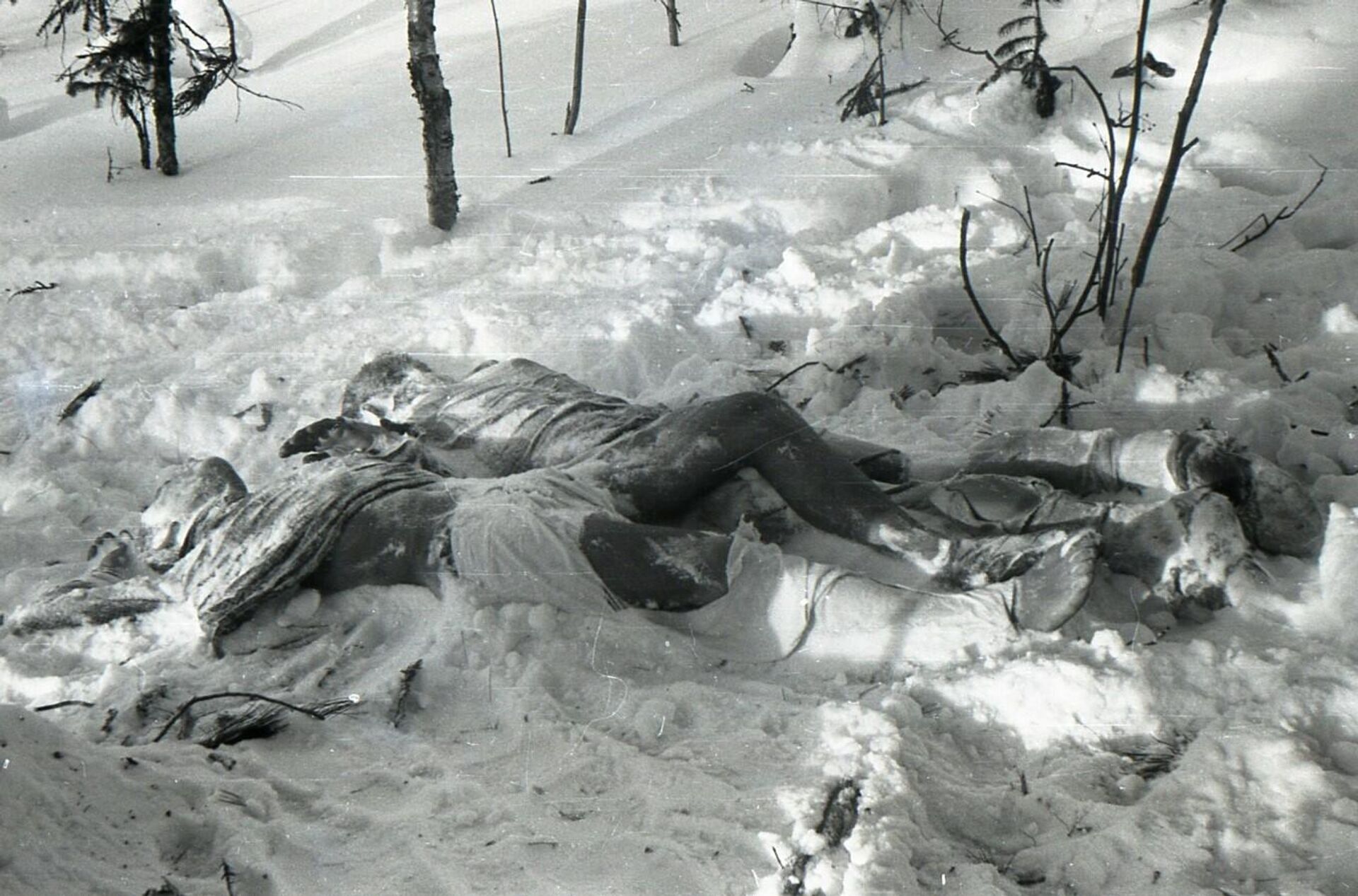 Поисковики обнаружили тела Юрия Кривонищенко и Юрия Дорошенко - РИА Новости, 1920, 01.02.2022