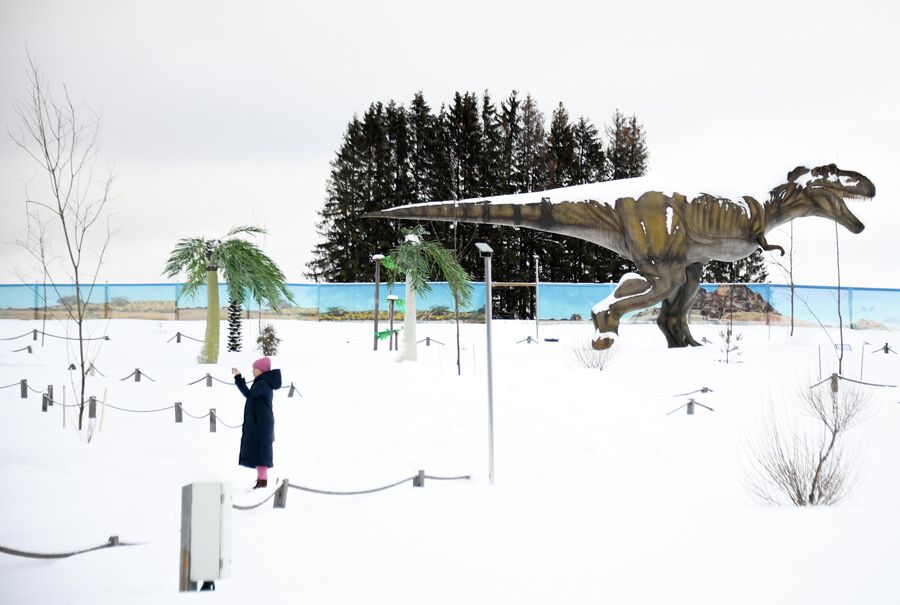 Посетительница фотографирует фигуры динозавров в динопарке, расположенном в центре отдыха и развлечений YES в Вологодской области