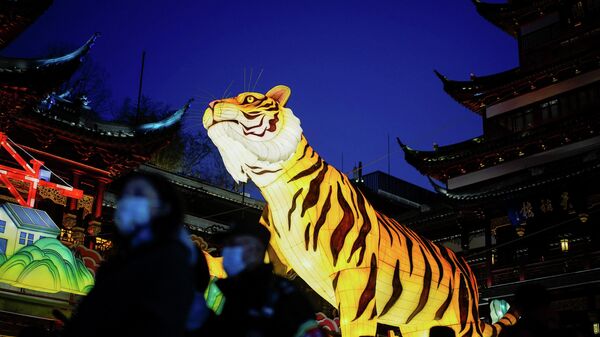 Украшение в форме тигра в саду Юйюань в преддверии празднования лунного Нового года в Шанхае