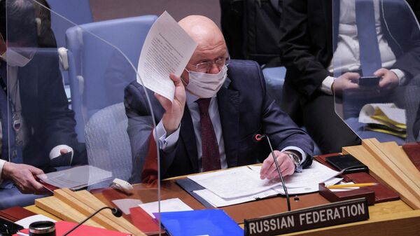 Постоянный представитель РФ при ООН Василий Небензя на заседании Совета безопасности ООН