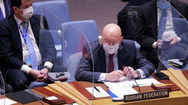 Постоянный представитель РФ при ООН Василий Небензя 