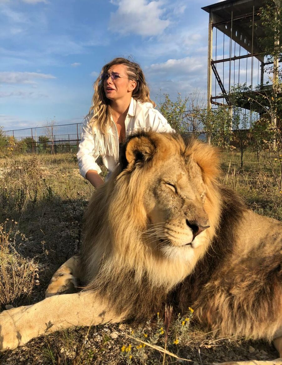 Со львом Марселем в сафари-парке Тайган в Крыму