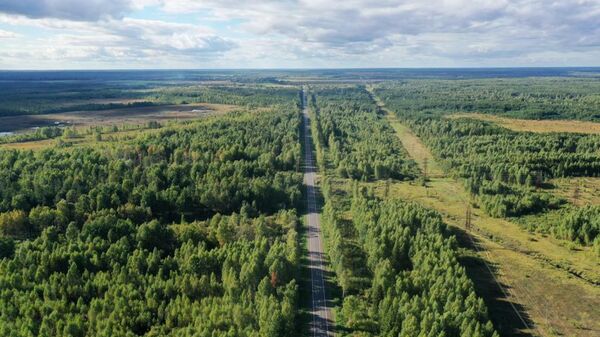 Дорога в Тверской области