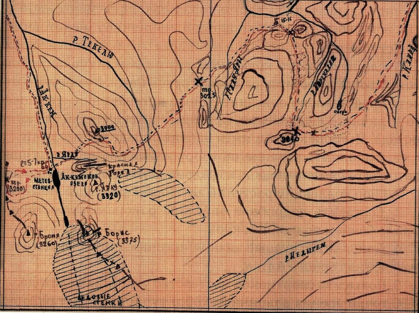 Кроки Николая Тибо - РИА Новости, 1920, 01.02.2022