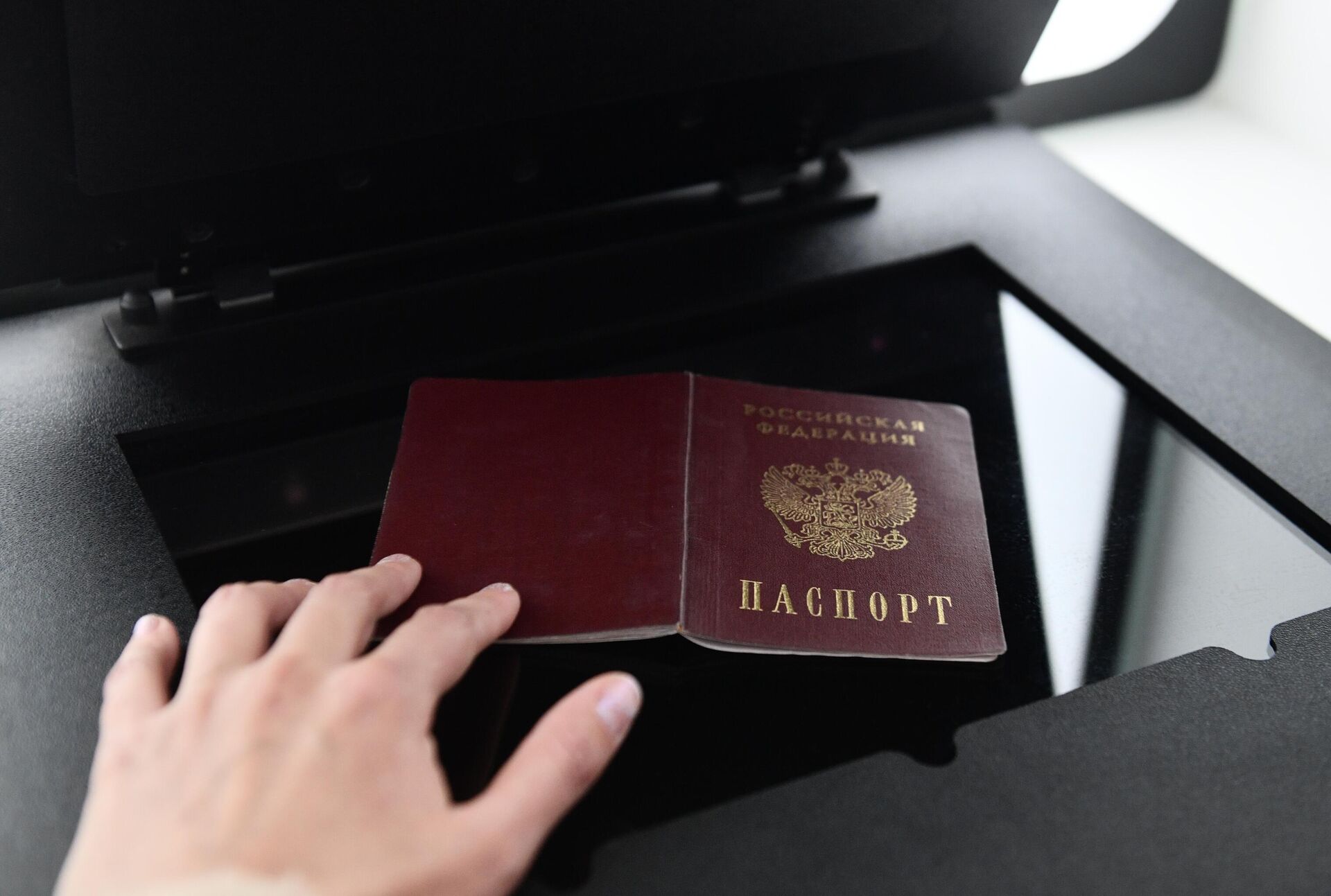 Девушка сканирует российский паспорт - РИА Новости, 1920, 03.02.2023
