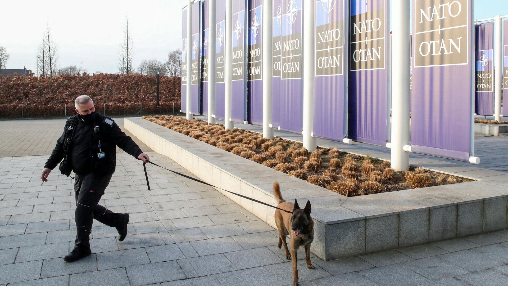 Офицер службы безопасности с собакой перед зданием штаб-квартиры НАТО в Брюсселе - РИА Новости, 1920, 07.02.2022