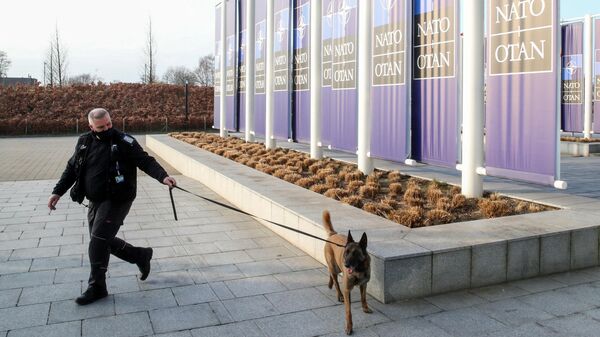 Офицер службы безопасности с собакой перед зданием штаб-квартиры НАТО в Брюсселе