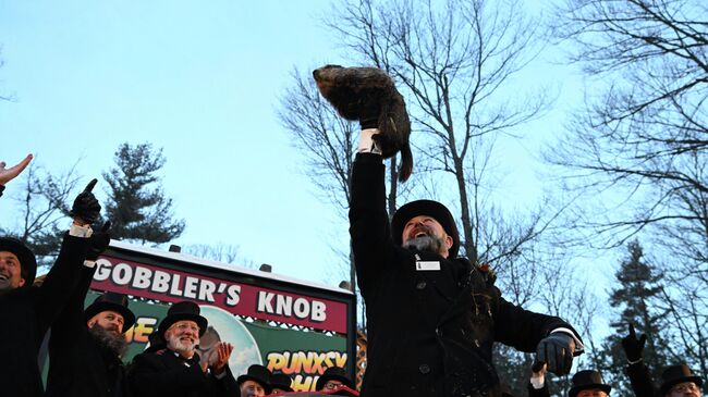 Член клуба сурков держит сурка Фила, предсказывающего погоду Член клуба сурков держит сурка Фила, предсказывающего погоду