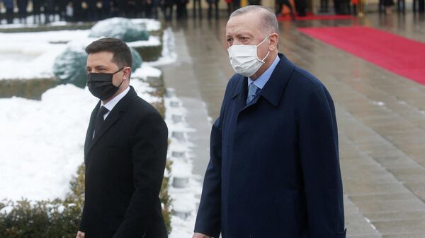 Президент Украины Владимир Зеленский и президент Турции Реджеп Тайип Эрдоган во время встречи в Киеве