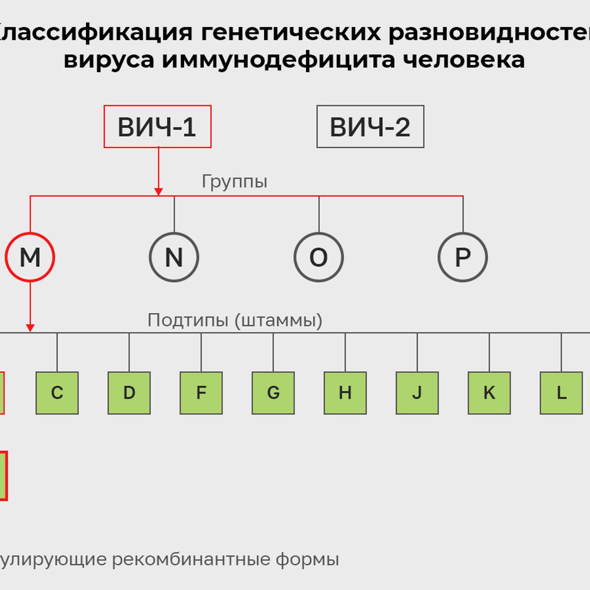 СПИД против COVID-19. В Нидерландах обнаружили новый агрессивный штамм -  РИА Новости, 04.02.2022