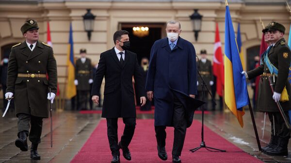 Президент Украины Владимир Зеленский и президент Турции Тайип Эрдоган во время встречи в Киеве