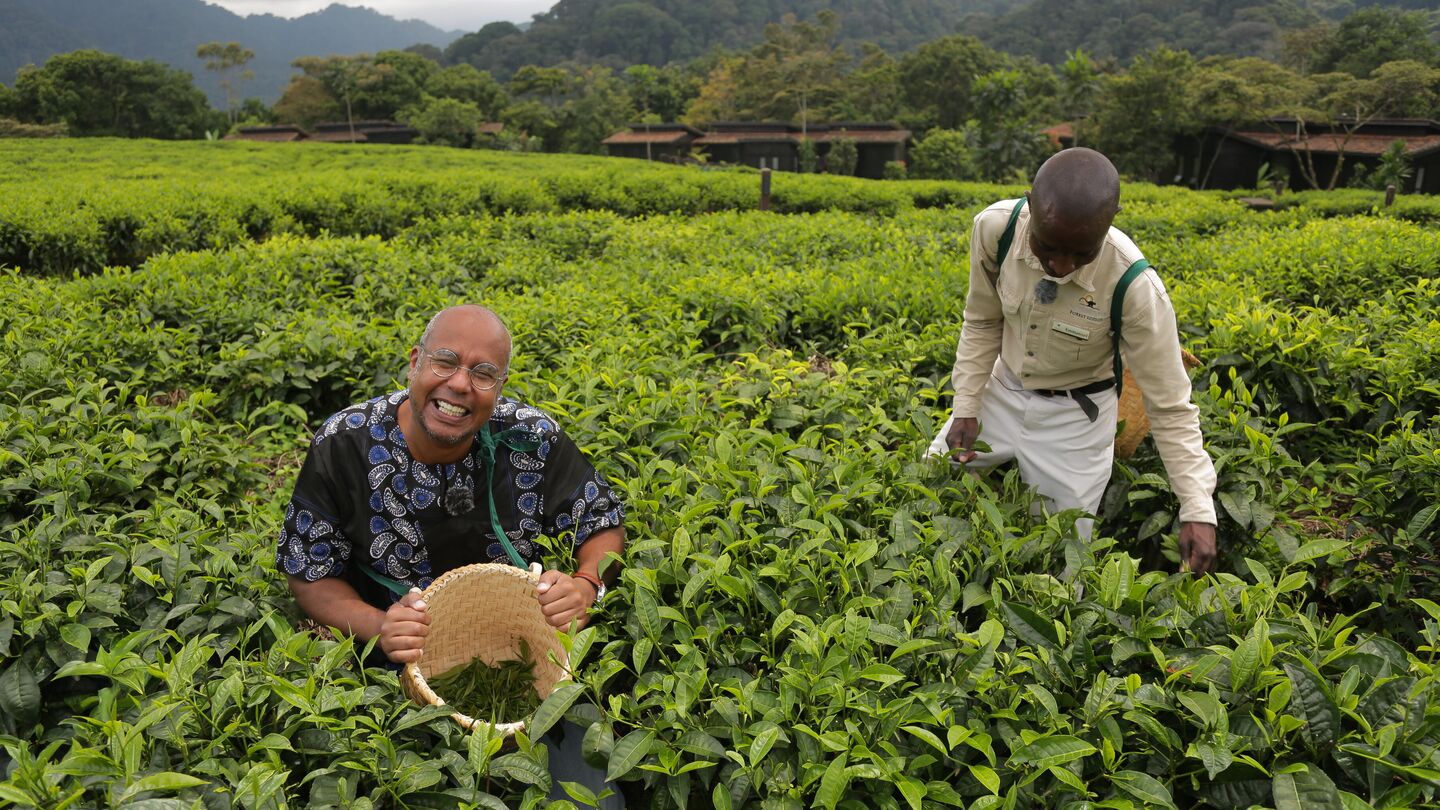 Антон Зайцев на чайной плантации в Руанде