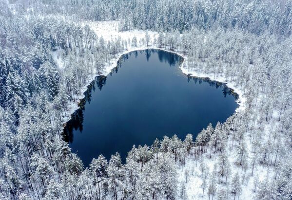 Озеро Дневное в Карелии