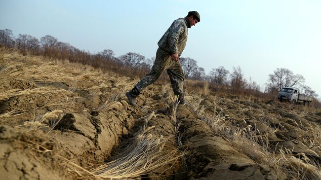 Участник программы Дальневосточный гектар Иван Панин в Хабаровском крае