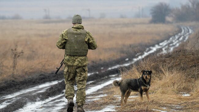 Украинский военный в Донецкой области